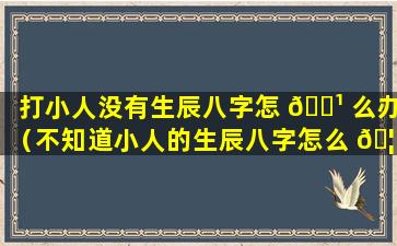 打小人没有生辰八字怎 🌹 么办（不知道小人的生辰八字怎么 🦅 办）